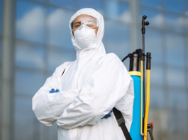 Benefits of Hiring a Professional Pest Control Company