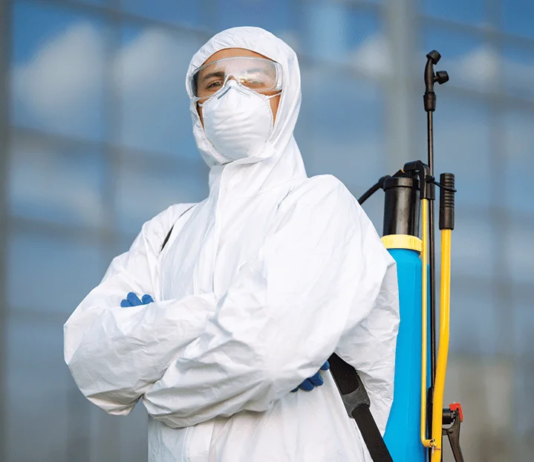 Benefits of Hiring a Professional Pest Control Company